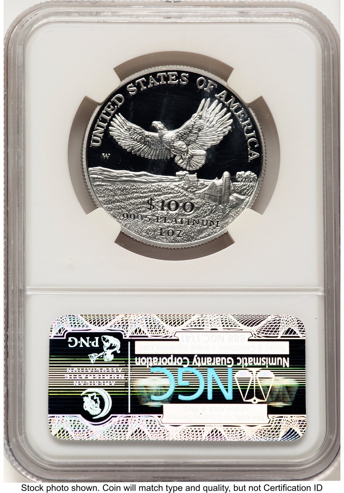 2000-W Proof Platinum Eagle 1 oz Brown Label NGC PF70