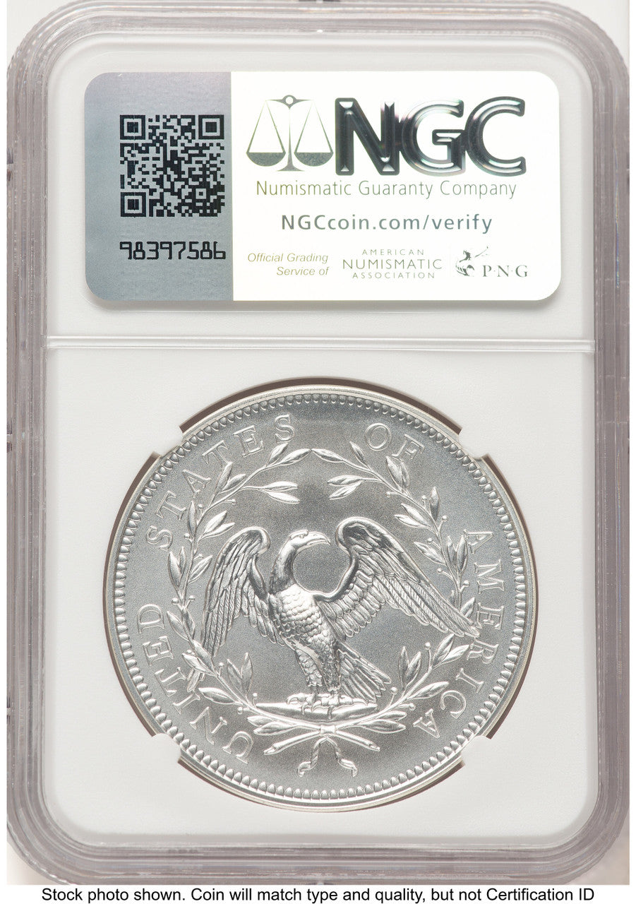 2024-(P) Silver 230th Anniversary Flowing Hair Medal Privy Mark FDI Mike Castle Modern Commemoratives NGC MS70