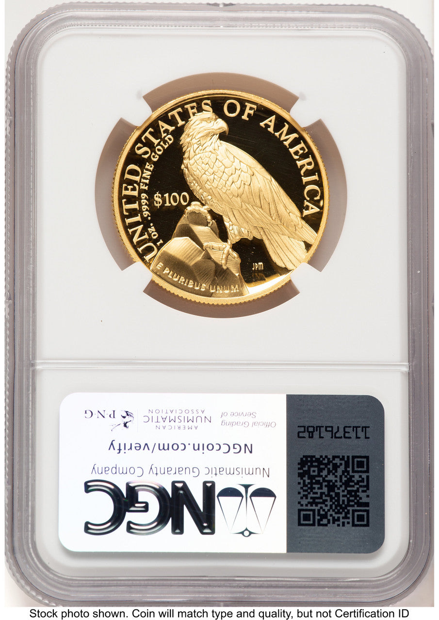 2023-W G$100 American Liberty High Relief Bunting Flag NGC PF70 (785198001)