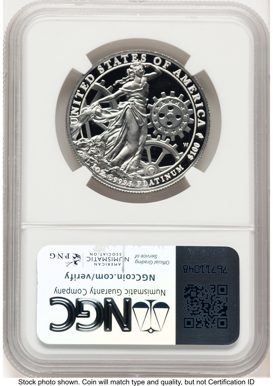 2013-W Proof Platinum Eagle 1 oz Brown Label NGC PF70