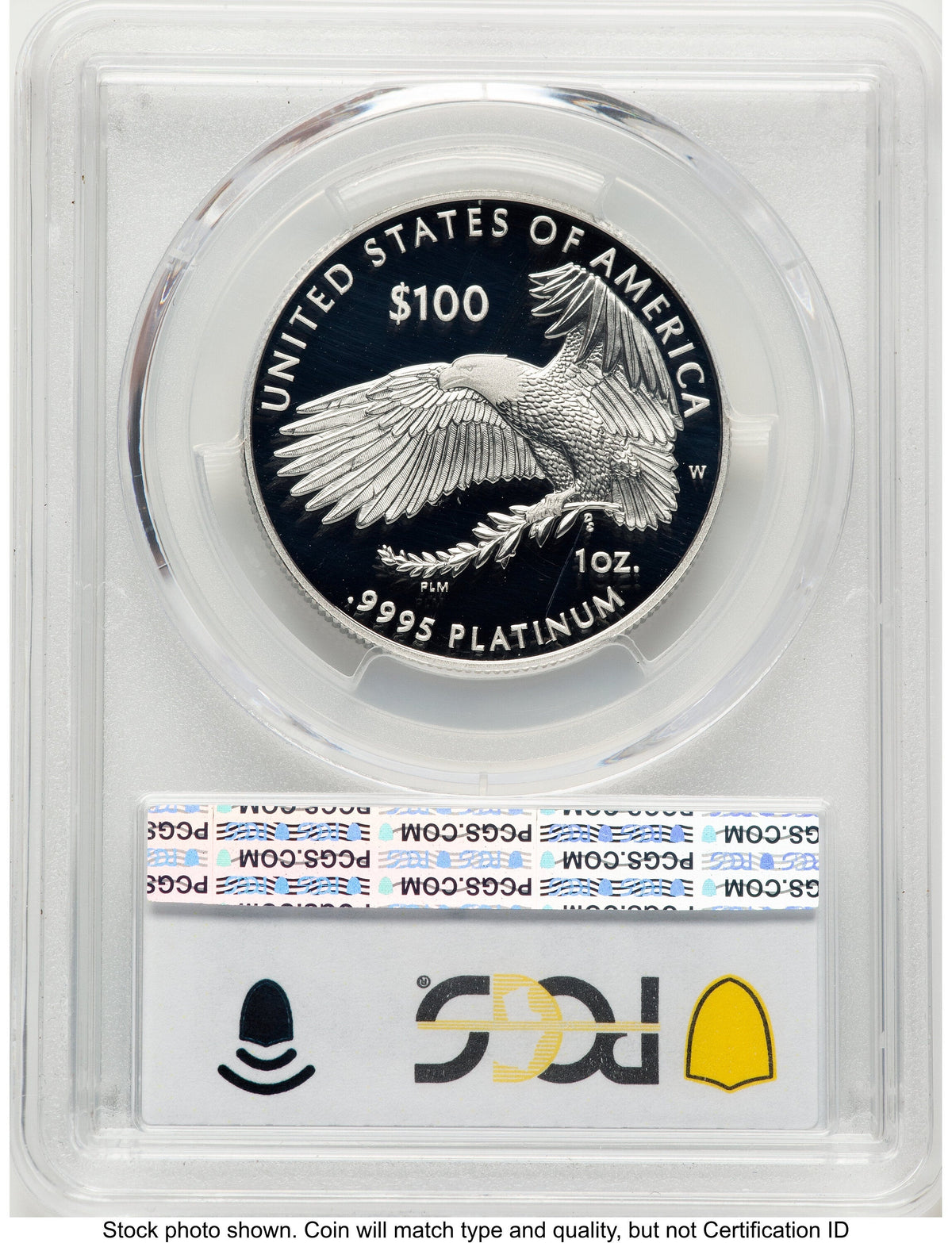 2022-W Proof Platinum Eagle 1 oz Blue Gradient PCGS PR70