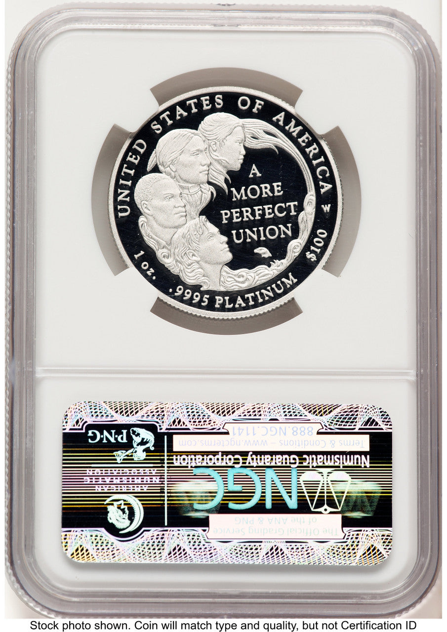 2009-W Proof Platinum Eagle 1 oz Brown Label NGC PF70