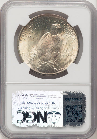 1924 CAC Peace Dollar NGC MS66+ (784596004)