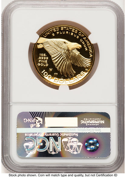 2017-W G$100 American Liberty High Relief FDI 225th Anniversary Label NGC PF70 (785337013)