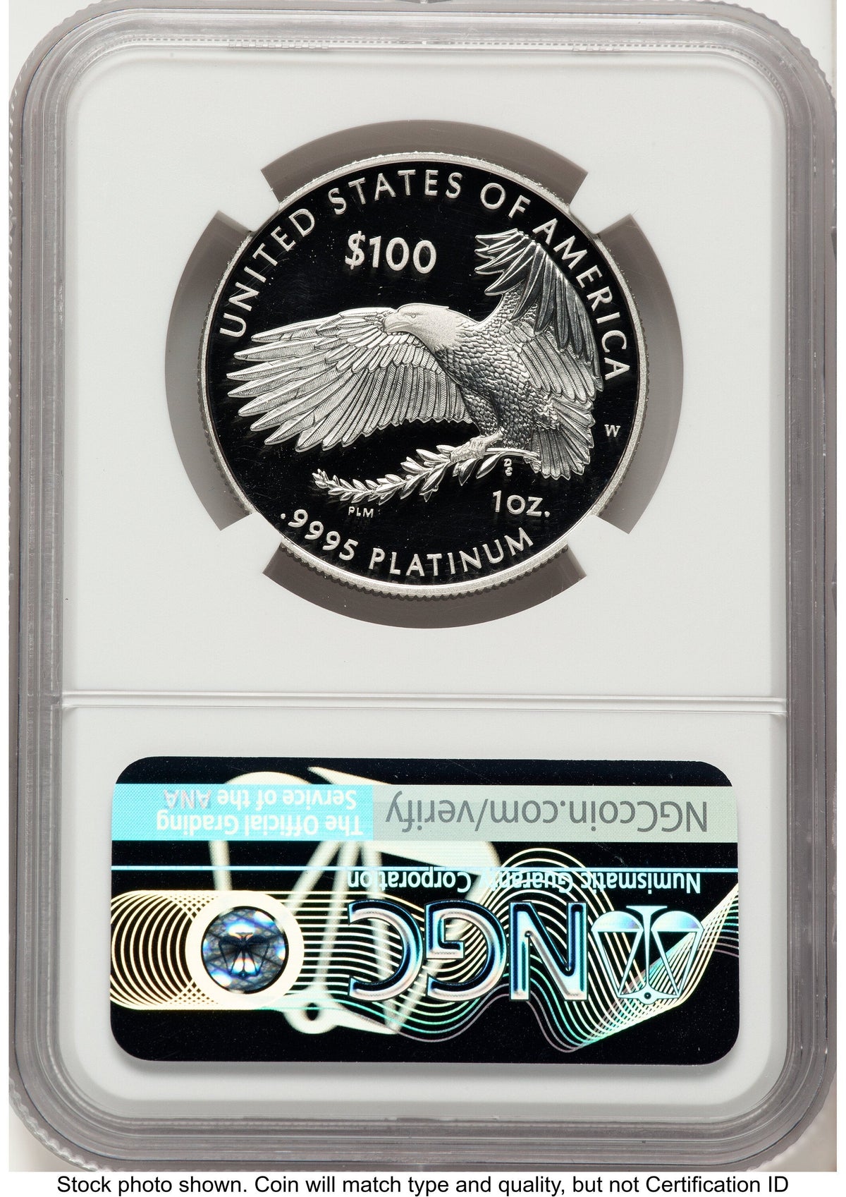2021-W Proof Platinum Eagle 1 oz Don Everhart NGC PF70